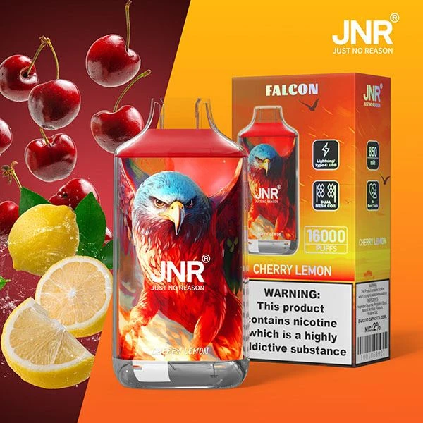 JNR FALCON 16000 Puffs Vape