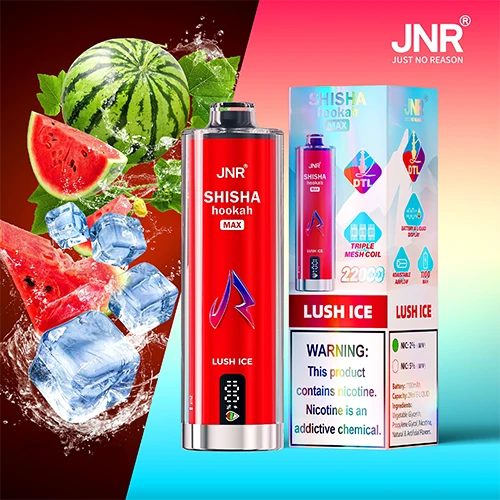 Jnr Shisha Hookah Max 22k Puffs Disposable Vape